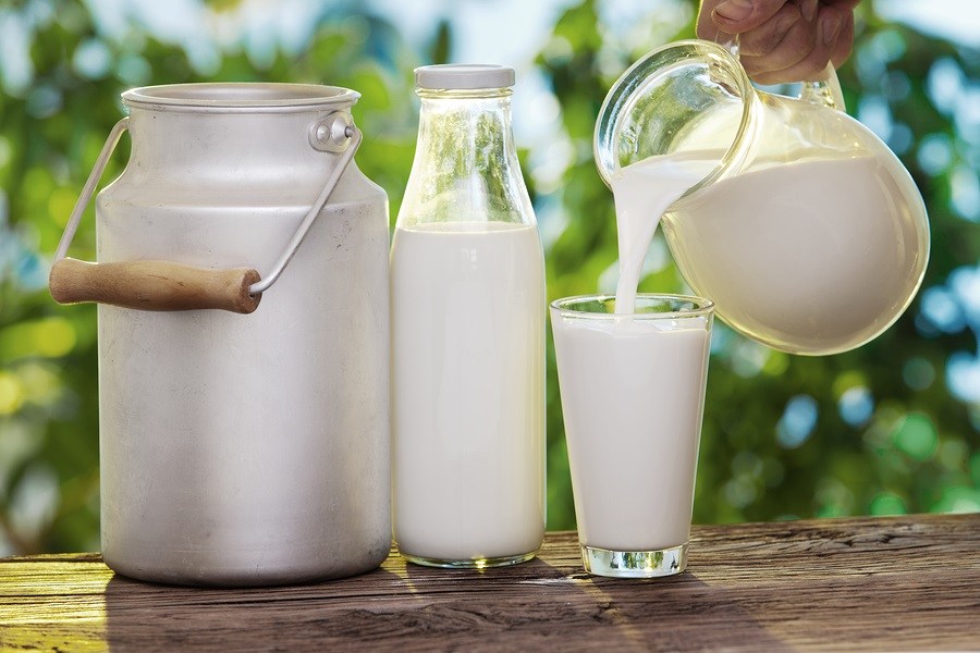 Dairy